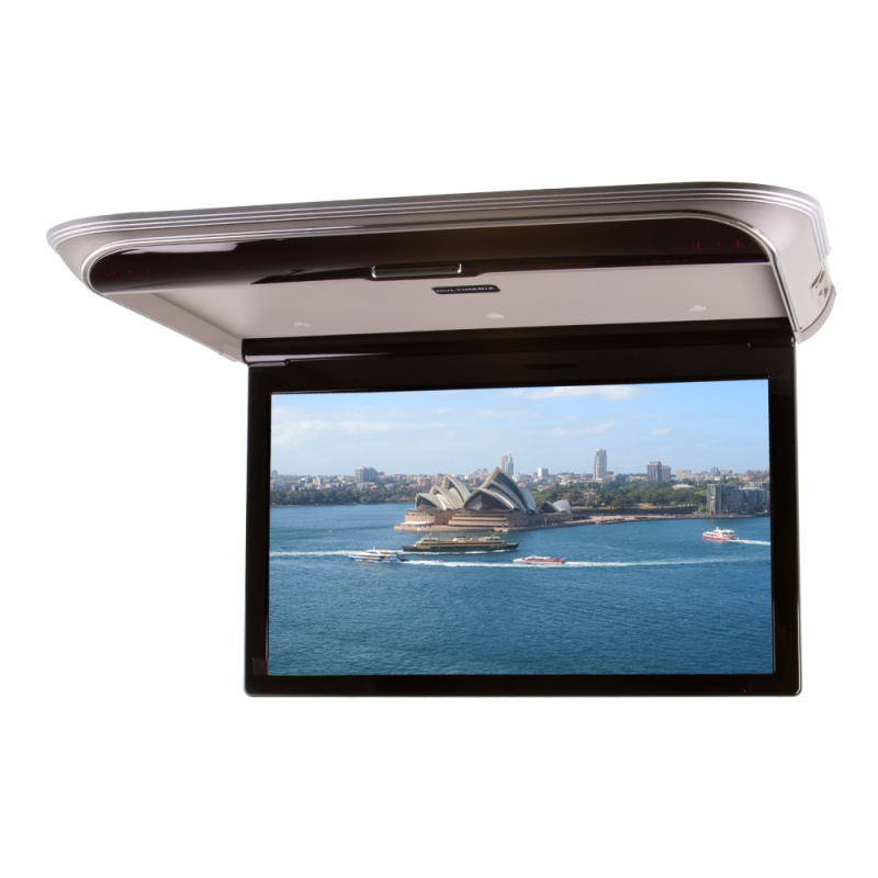 Stropní LCD monitor 17,3 s OS. Android USB/HDMI/IR/FM, dálkové ovládání se snímačem pohybu, šedá (ds-173Acgr)